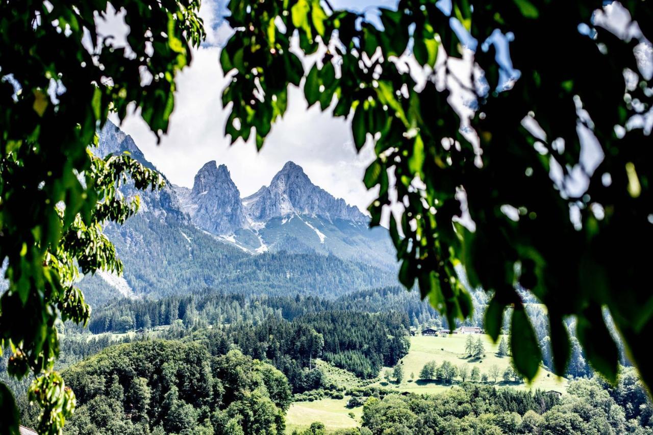 Alpenrelax Haus Weidmannsheil Wohnen Im Romantischen Forsthaus Werfen Exterior foto